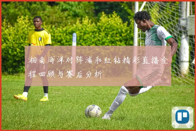 湘南海洋对阵浦和红钻精彩直播全程回顾与赛后分析